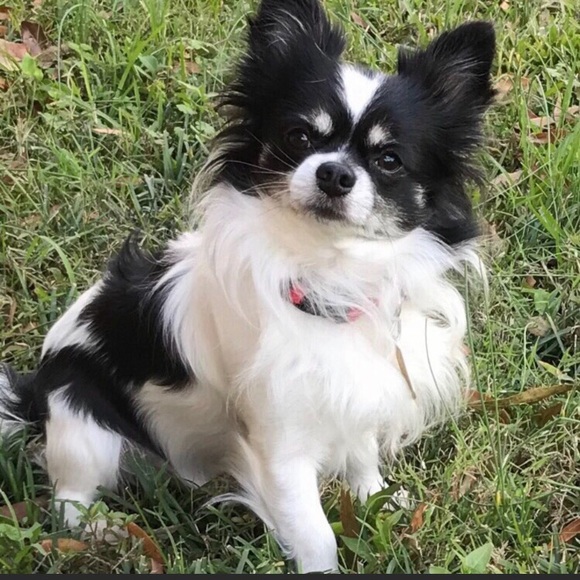 Meet your Posher, Mary - Picture 16 of 16